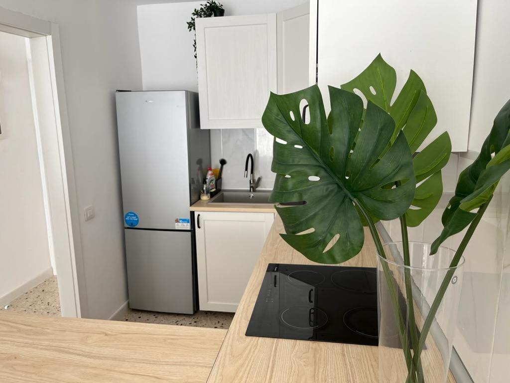 Apartament Moonlight *